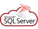 MS SQL Database